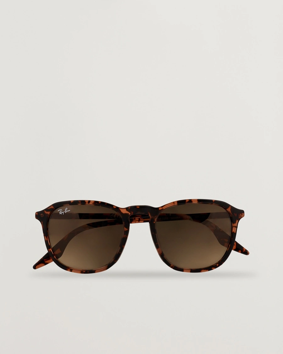 Ray-Ban 0RB2203 Sunglasses Havana – Brown