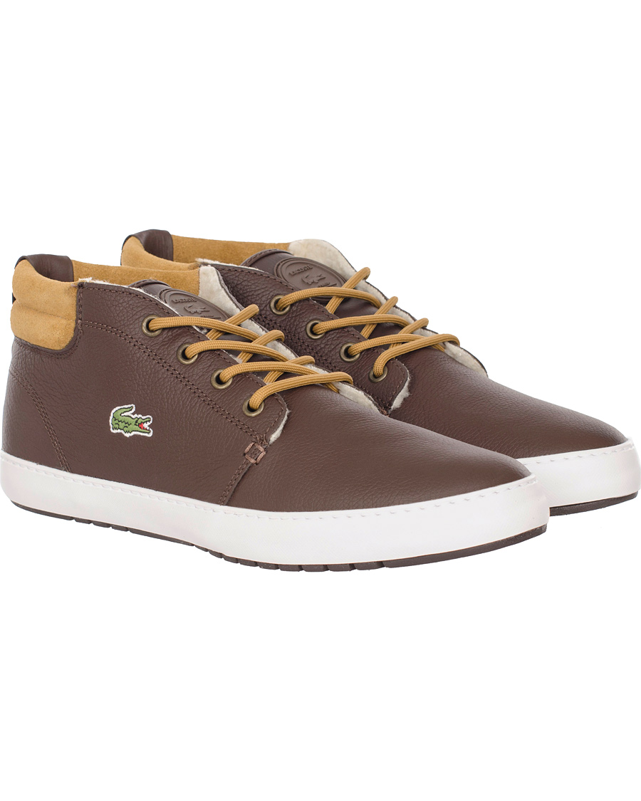 Ampthill terra online lacoste