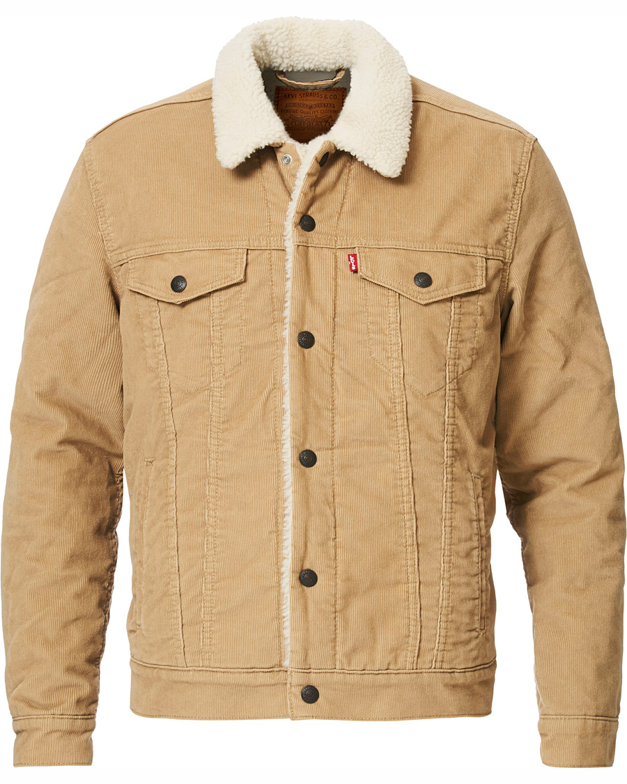 Levi's type 3 sherpa 2025 trucker jacket chino cord