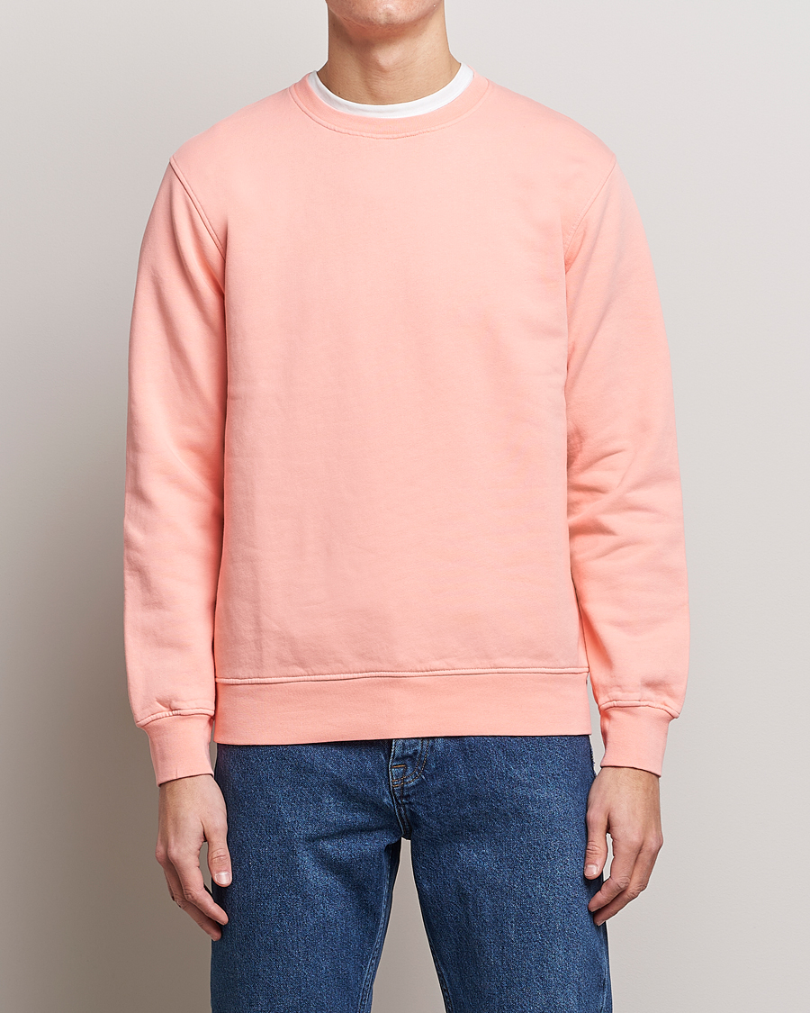 Cotton On CLASSIC WASHED CREW - Sweatshirt - washed candy pink/dark green -  Zalando.de